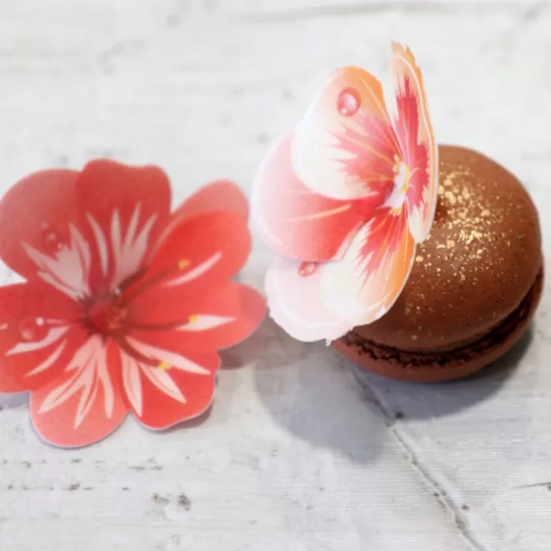 Cerf Dellier 13 Fleurs 3D Comestibles En Azyme Assorties Patisdecor Best