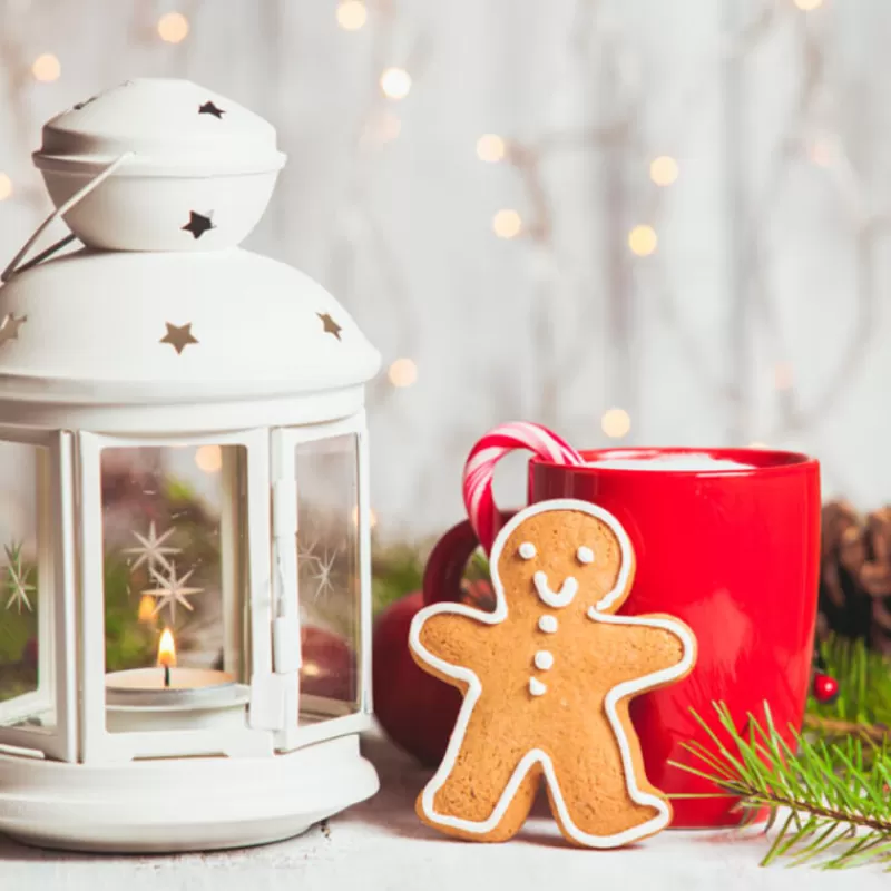 Cerf Dellier Boite A Biscuits De Noël Houx En Metal 14,5 Cm Clearance