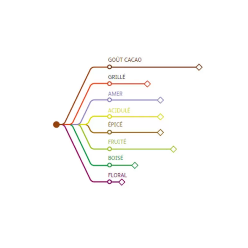 Cerf Dellier Chocolat De Couverture Noir Origine Mexique 66 % 1 Kg