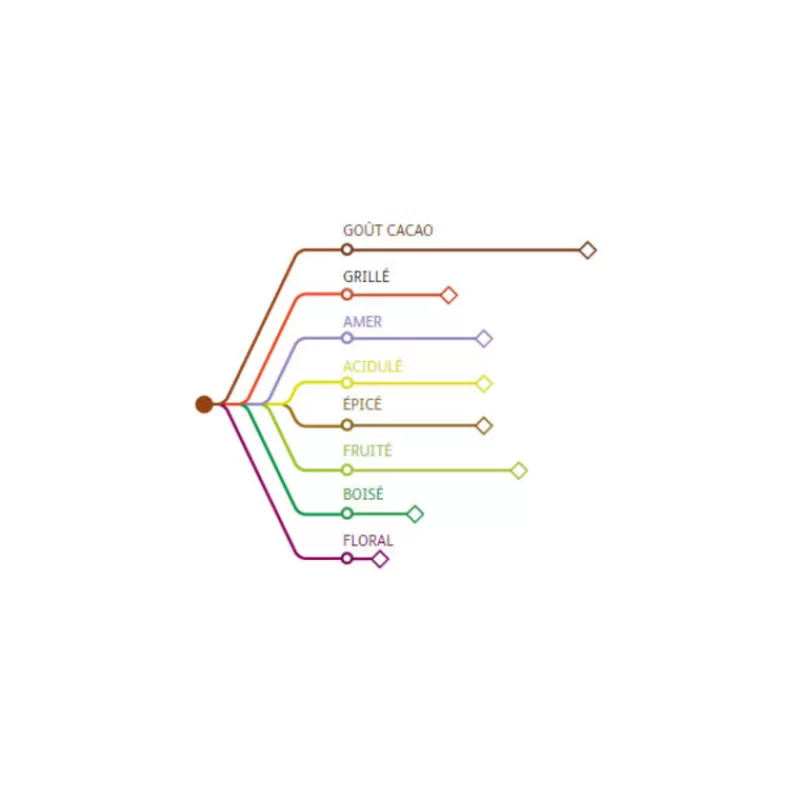 Cerf Dellier Chocolat De Couverture Noir Origine Mexique 66 % 2,5 Kg