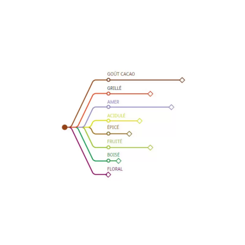 Cerf Dellier Chocolat De Couverture Noir Origine Venezuela 72 % 2,5 Kg