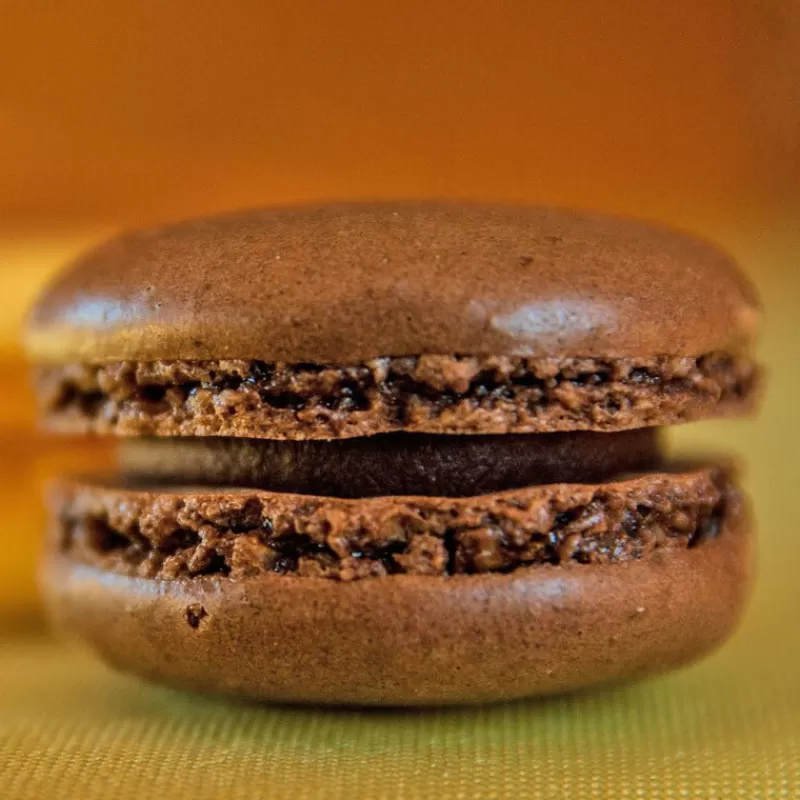 Cerf Dellier Colorant Poudre Alimentaire Chocolat 100 G