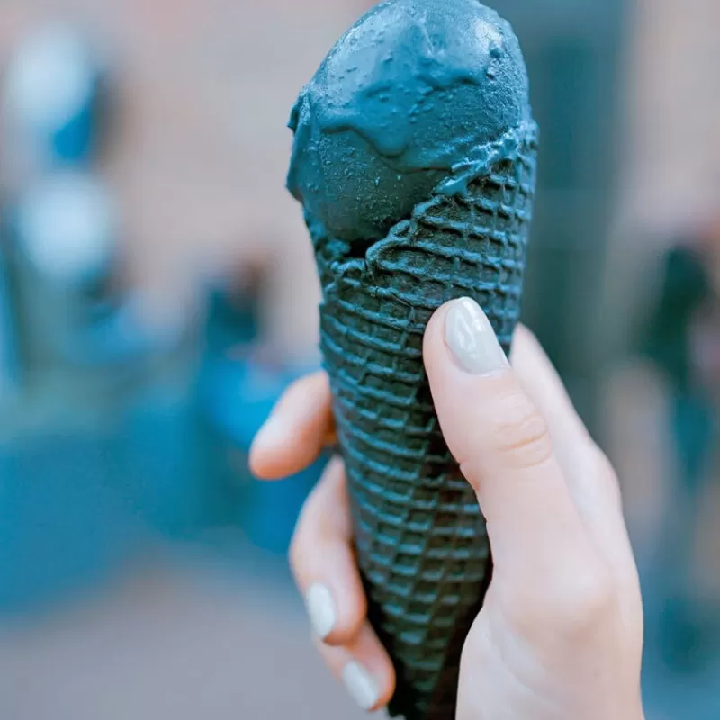 Cerf Dellier Colorant Poudre Alimentaire Noir Vegetal 100 G