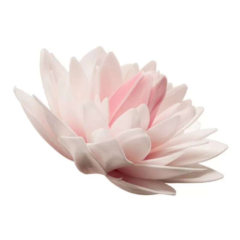 dahlia_rose_geant_azyme_2.webp Cerf Dellier Dahlia Rose Geant Azyme Hot