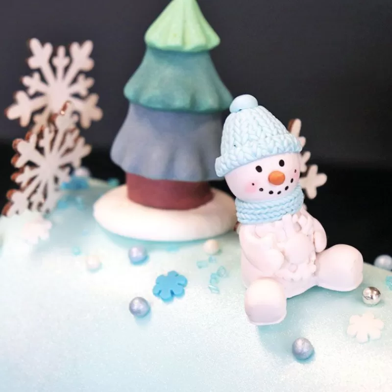 Cerf Dellier Décors Comestibles Sapin Tricolore (X20) Fashion