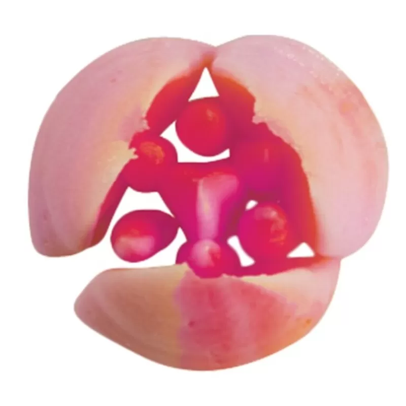 Cerf Dellier Douille A Fleur Inox N 4 Patisdecor