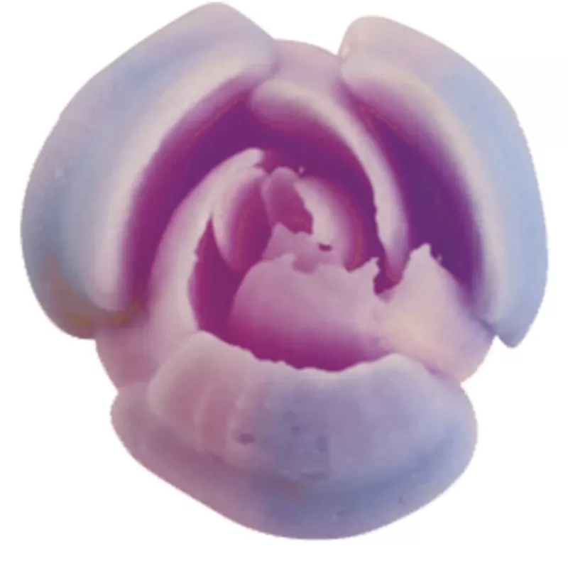 Cerf Dellier Douille A Fleur Inox N 7 Patisdecor