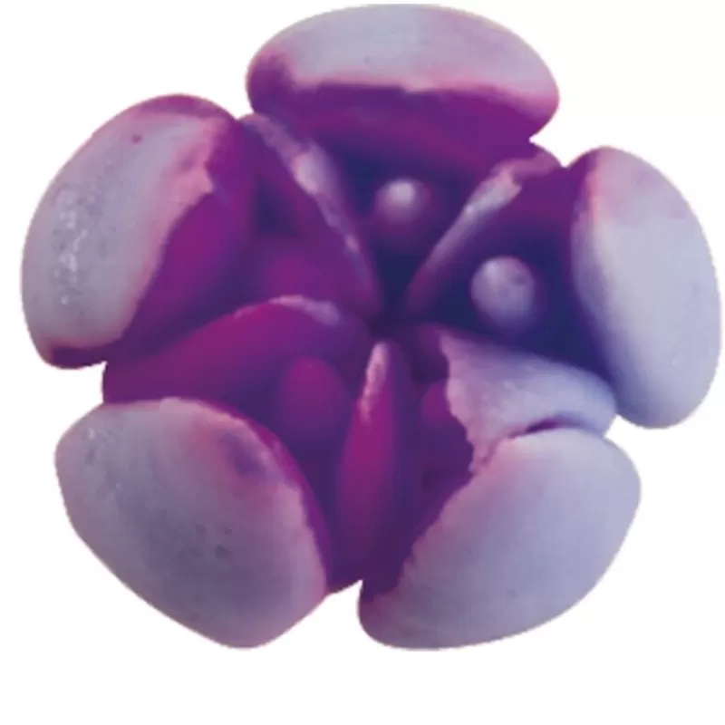 Cerf Dellier Douille A Fleur Inox N 8 Patisdecor