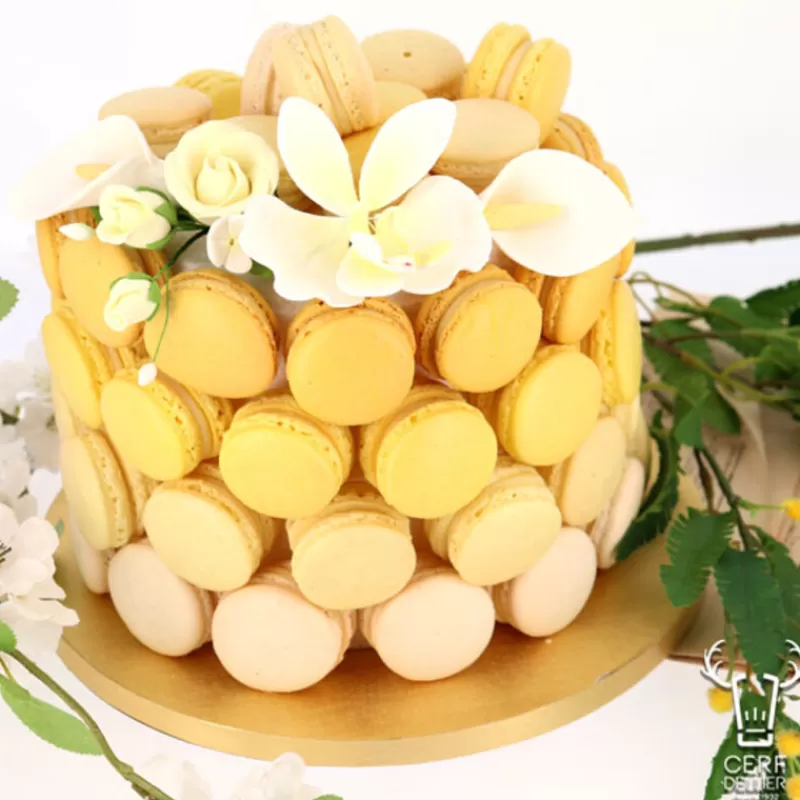 dummy_rond_contours_droits_h_10_cm_patisdecor_2-1.webp Cerf Dellier Dummy Rond Contours Droits H 10 Cm Patisdecor New