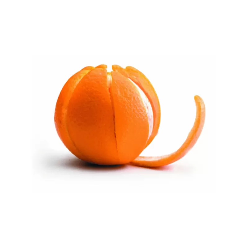 eplucheur_doranges_inox_2.webp Cerf Dellier Eplucheur D'Oranges Inox Outlet