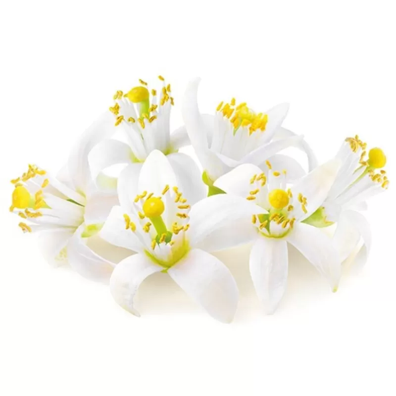 Cerf Dellier Extrait De Fleur D'Oranger Patisdecor 50 Ml