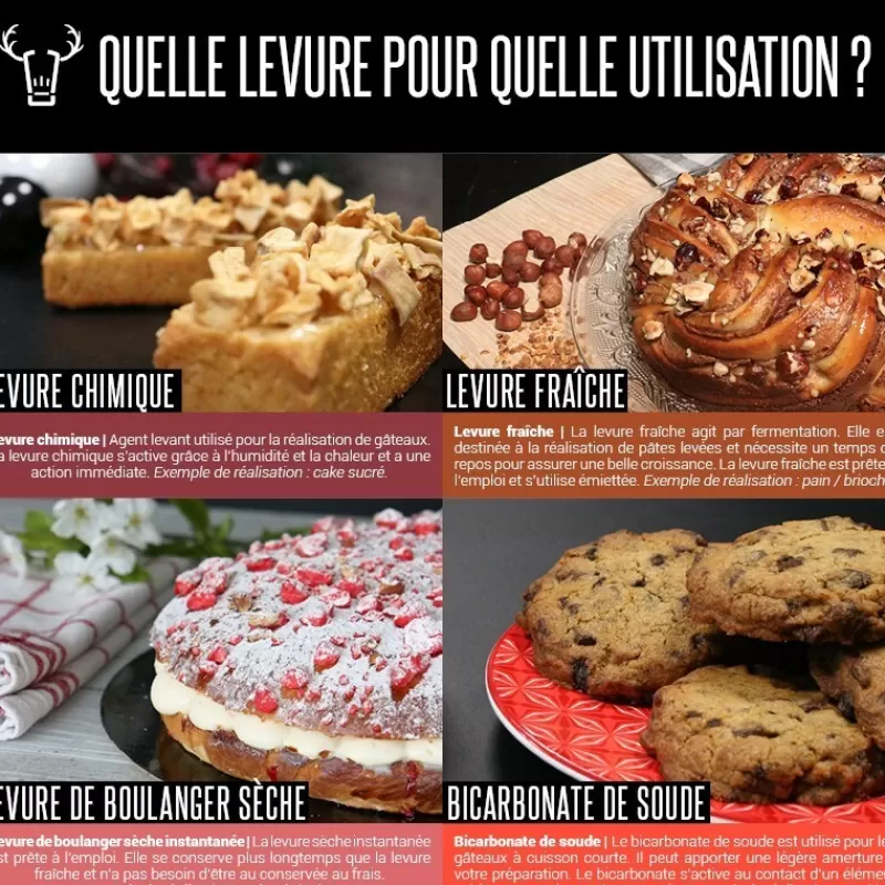 Cerf Dellier Levure Chimique - Poudre A Lever 60 G Patisdecor