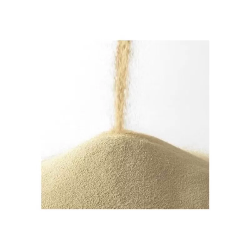 levure_seche_instantanee_safinstant_500_g_3.webp Cerf Dellier Levure Seche Instantanee Saf-Instant 500 G