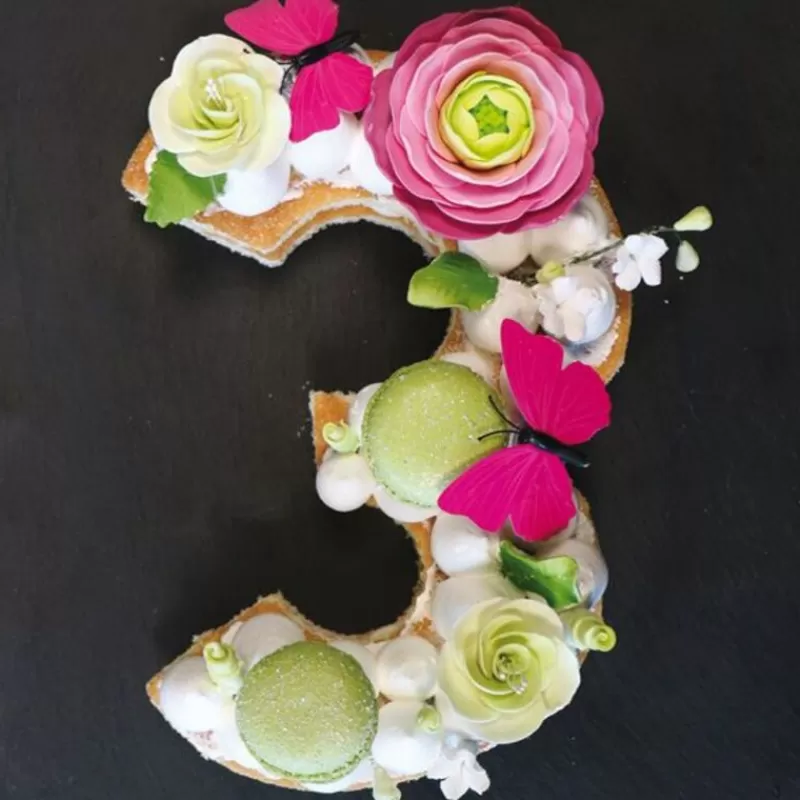 Cerf Dellier Moule Number Cake Chiffre 3