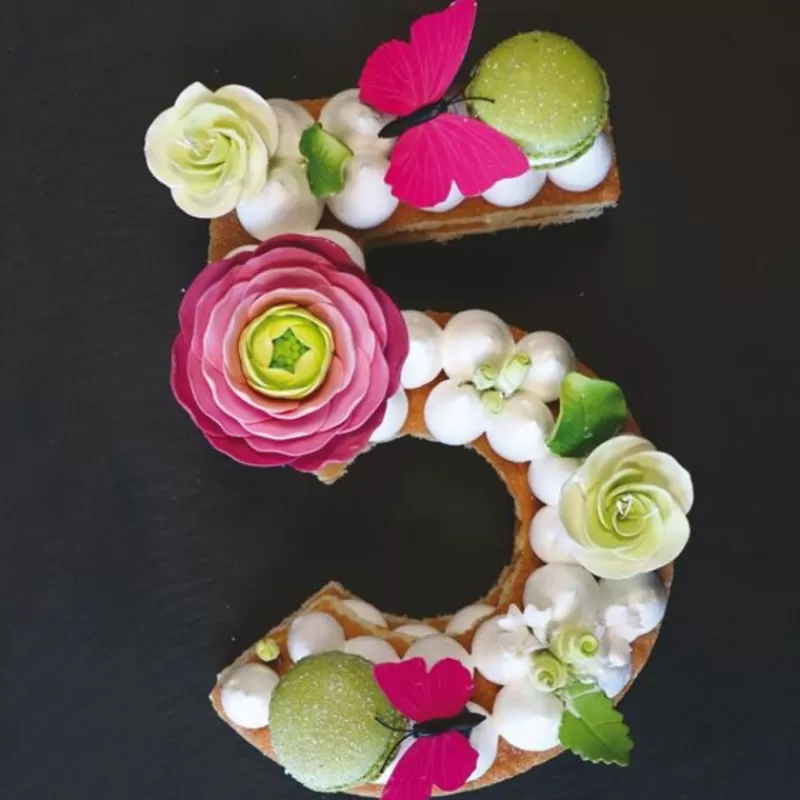 Cerf Dellier Moule Number Cake Chiffre 5