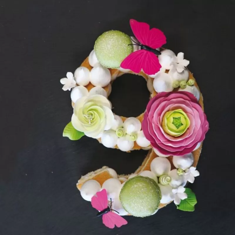 Cerf Dellier Moule Number Cake Chiffre 9