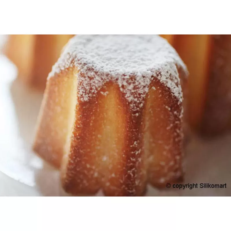 Cerf Dellier Moule Silicone 6 Pandor