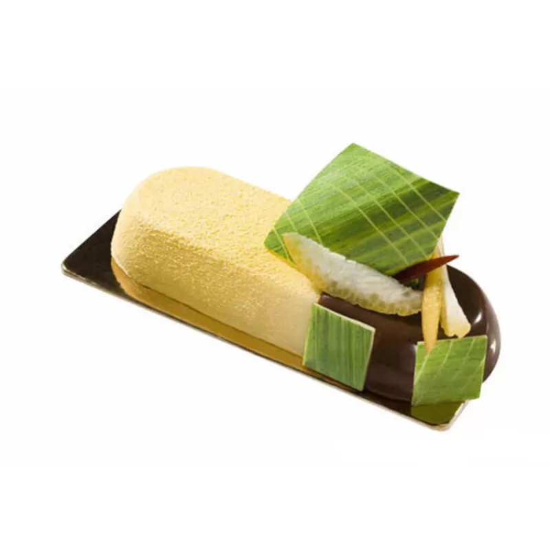 Cerf Dellier Moule Silicone 6 Rectangles Arrondis