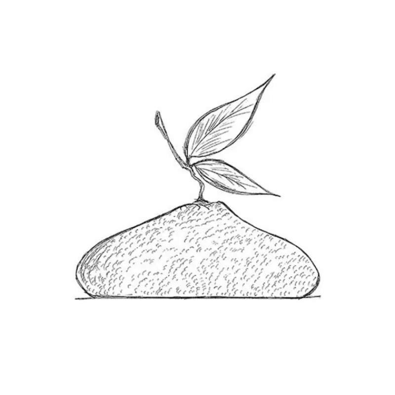 moule_silicone_citron_pavoni_2.webp Cerf Dellier Moule Silicone Citron Pavoni