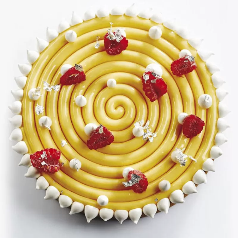 Cerf Dellier Moule Silicone Ipnosi Grand Pavoni