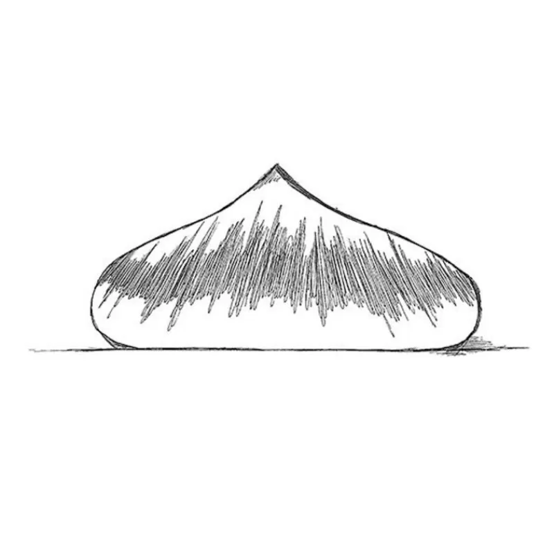 moule_silicone_noisette_pavoni_2.webp Cerf Dellier Moule Silicone Noisette Pavoni