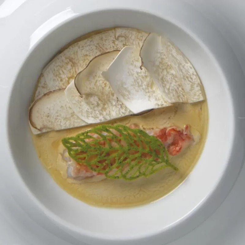 moule_silicone_plumes_pavoni_4.webp Cerf Dellier Moule Silicone Plumes Pavoni