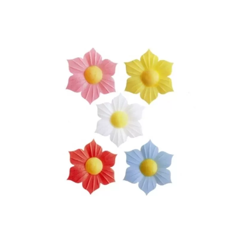 Cerf Dellier Narcisses Coloris Assortis (X100) Discount