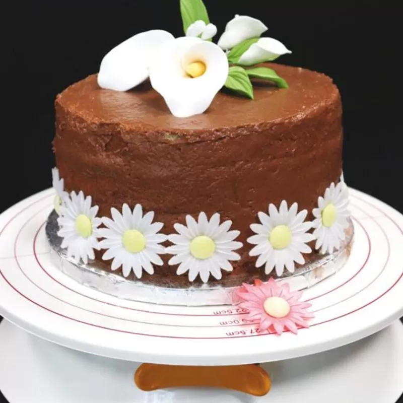 plateau_tournant_gradue_30_cm_patisdecor_2.webp Cerf Dellier Plateau Tournant Gradue 30 Cm Patisdecor Fashion