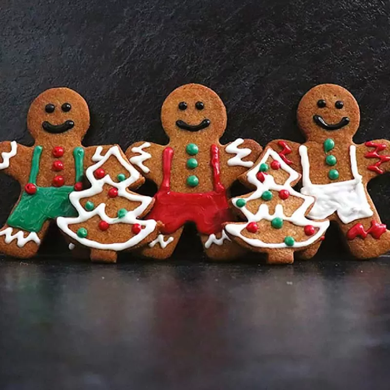 Cerf Dellier Preparation Biscuits Pain D'Épices Patisdecor 250 G